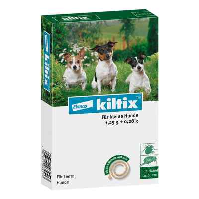 Kiltix f. kleine Hunde Halsband zamów na apo-discounter.pl