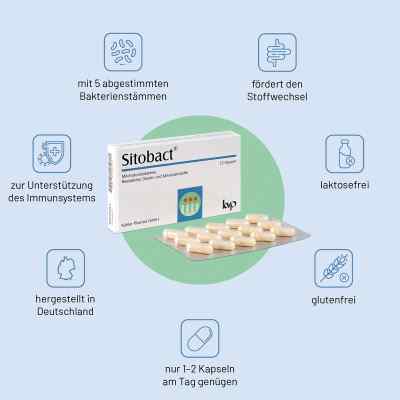 Sitobact Kapseln zamów na apo-discounter.pl