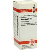 Aesculus C 12 Globuli 10 g od DHU-Arzneimittel GmbH & Co. KG PZN 07454158