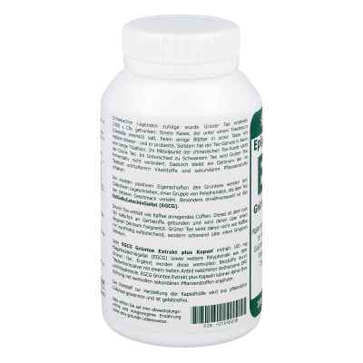 Egcg 100 mg ekstrakt z zielonej herbaty plus kapsułki zamów na apo-discounter.pl