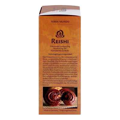 Terra Mundo Reishi kapsułki zamów na apo-discounter.pl
