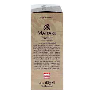 Maitake Vitalpilz Bio Terra Mundo Kapseln zamów na apo-discounter.pl