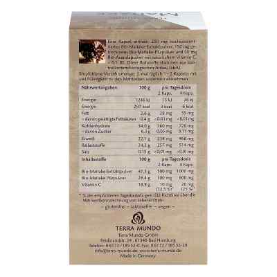 Maitake Vitalpilz Bio Terra Mundo Kapseln zamów na apo-discounter.pl