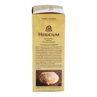Hericium Vitalpilz Bio Terra Mundo kapsułki zamów na apo-discounter.pl