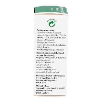 Ginkgo Syxyl Tabletten Ginkgo Syxyl Tabletten
