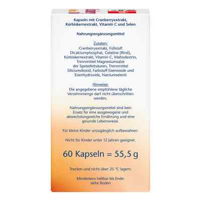 Doppelherz żurawina + dynia kapsułki zamów na apo-discounter.pl