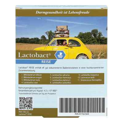 Lactobact Reise Kapseln magensaftr. zamów na apo-discounter.pl