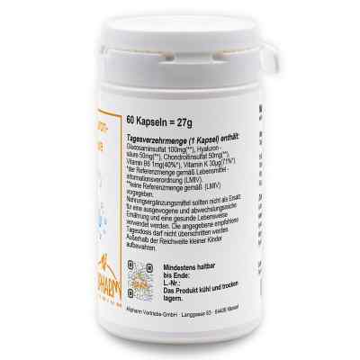 Hyaluronsaeure 50 mg kapsułki zamów na apo-discounter.pl