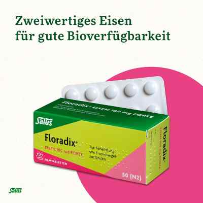 Floradix Eisen 100 mg forte Filmtabl. Floradix Eisen 100 mg forte Filmtabl.