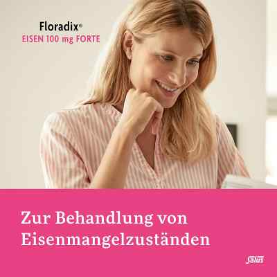 Floradix Eisen 100 mg forte Filmtabl. Floradix Eisen 100 mg forte Filmtabl.