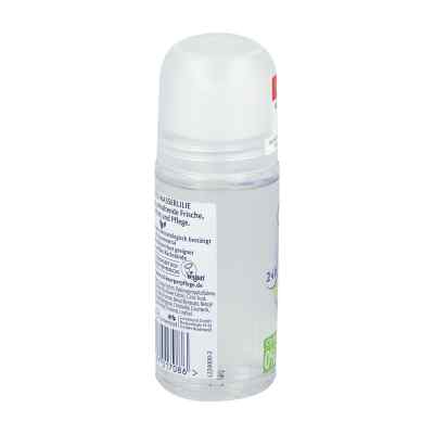 CD Deo Roll On Dezodorant z lilii wodnej 24h CD Deo Roll On Dezodorant z lilii wodnej 24h