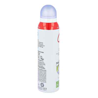 Cd Deo Spray Deodorant Cd Deo Spray Deodorant