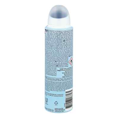 Dezodorant Rexona Pure Fresh zamów na apo-discounter.pl