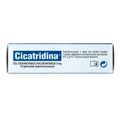 Cicatridina globulki dopochwowe zamów na apo-discounter.pl