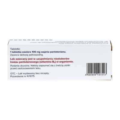 Calcium pantothenicum Jelfa 100 mg tabletki zamów na apo-discounter.pl