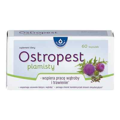 Ostropest plamisty, kapsułki zamów na apo-discounter.pl