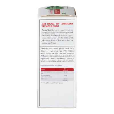 Pelavo Multi 6+ syrop zamów na apo-discounter.pl