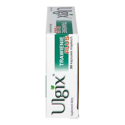 Ulgix Trawienie Plus kapsułki zamów na apo-discounter.pl