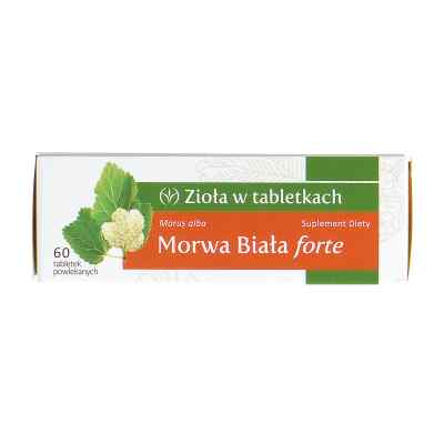 Morwa Biała forte zamów na apo-discounter.pl