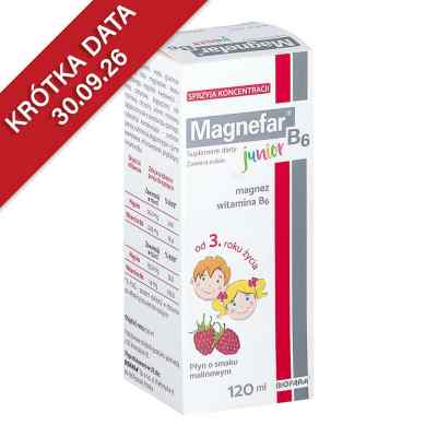 Magnefar B6 Junior