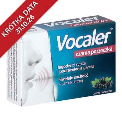 VOCALER czarna porzeczka pastylki