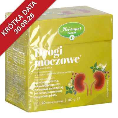 Drogi Moczowe