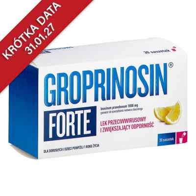 Groprinosin Forte saszetki 1000 mg