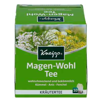 Kneipp Tee Magen Wohl saszetki zamów na apo-discounter.pl