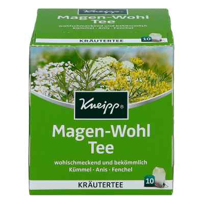 Kneipp Tee Magen Wohl saszetki zamów na apo-discounter.pl