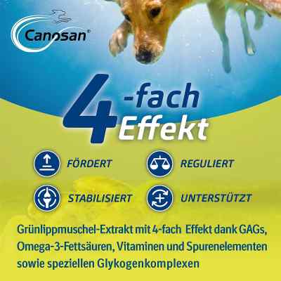 Canosan Konzentrat zamów na apo-discounter.pl