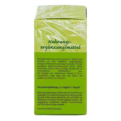Nachtkerzenoel 500 mg kapsułki zamów na apo-discounter.pl