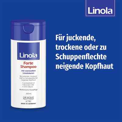 Linola Forte szampon zamów na apo-discounter.pl