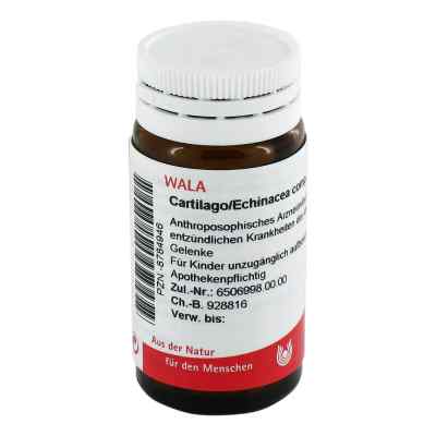 Cartilago/ Echinacea Comp. Globuli 20 g od WALA Heilmittel GmbH PZN 08784946