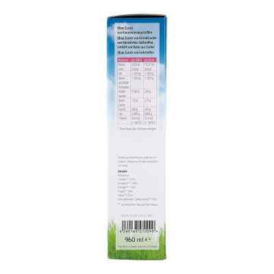 Knobivital syrop z imbirem i kwiatem bzu czarnego zamów na apo-discounter.pl