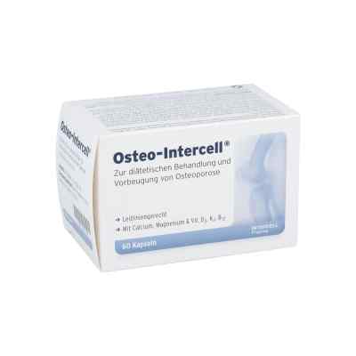 Osteo Intercell Kapseln zamów na apo-discounter.pl