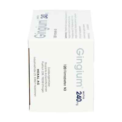 Gingium extra 240 mg tabletki Gingium extra 240 mg tabletki