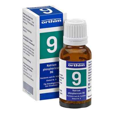 Biochemie Globuli 9 Natrium phosphoricum D 6 zamów na apo-discounter.pl