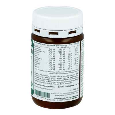Beta Carotin 8 mg Braeunungskapseln zamów na apo-discounter.pl