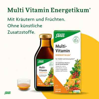 Salus Multivitamin Energeticum Salus Multivitamin Energeticum
