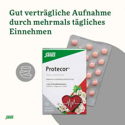 Protecor Herz Kreislauf Tabletten zur, zum funktionsunt.salus Protecor Herz Kreislauf Tabletten zur, zum funktionsunt.salus