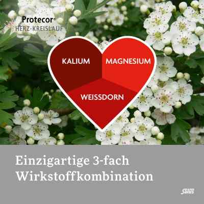 Protecor Herz Kreislauf Tabletten zur, zum funktionsunt.salus Protecor Herz Kreislauf Tabletten zur, zum funktionsunt.salus