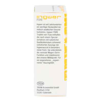 Ingwer Pure Tropfen Ingwer Pure Tropfen