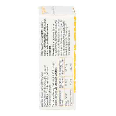 Ingwer Pure Tropfen Ingwer Pure Tropfen