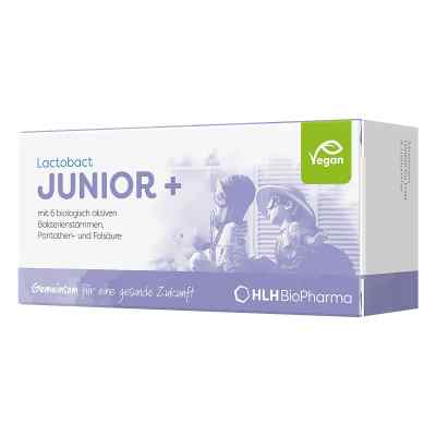 Lactobact Junior 7 dniowe woreczki zamów na apo-discounter.pl