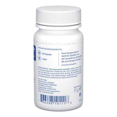 Pure Encapsulations Folsaeure Kapseln zamów na apo-discounter.pl