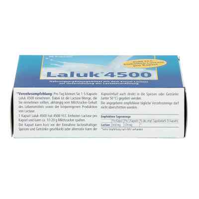 Laluk 4500 Kapseln zamów na apo-discounter.pl