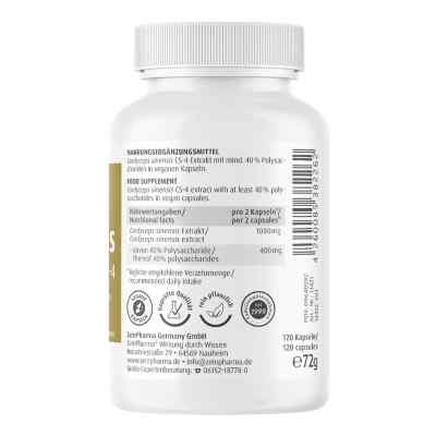 Cordeyceps Cs-4 kapsułki zamów na apo-discounter.pl