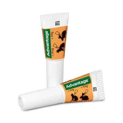 Advantage 40 mg für kl.Katzen und kl.Zierkaninchen zamów na apo-discounter.pl