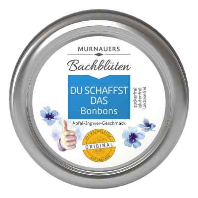 Bachblueten Murnauer pastylki na stres 50 g od MURNAUER MARKENVERTRIEB GmbH PZN 09706687