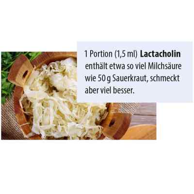 Lactacholin Doktor Jacob's krople zamów na apo-discounter.pl